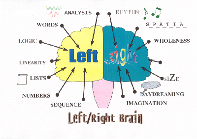 Left-right Brain Research